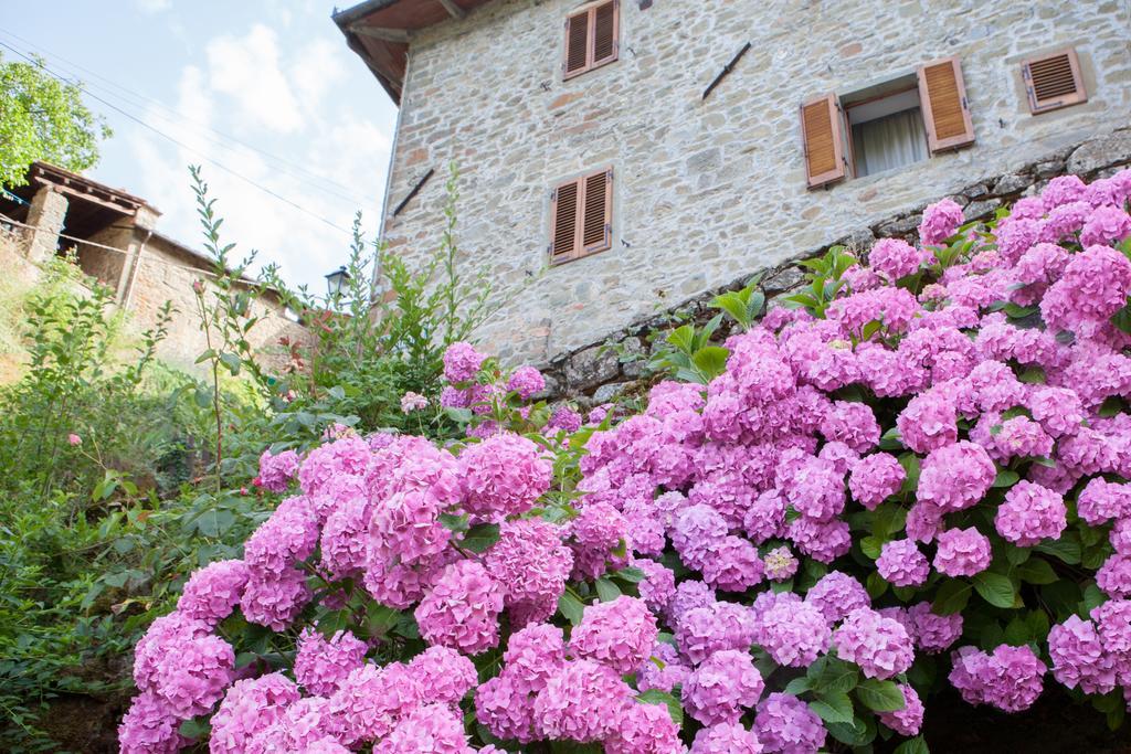 Il Borgo Dei Corsi - Charming Holiday Apartments Ortignano Raggiolo Zewnętrze zdjęcie