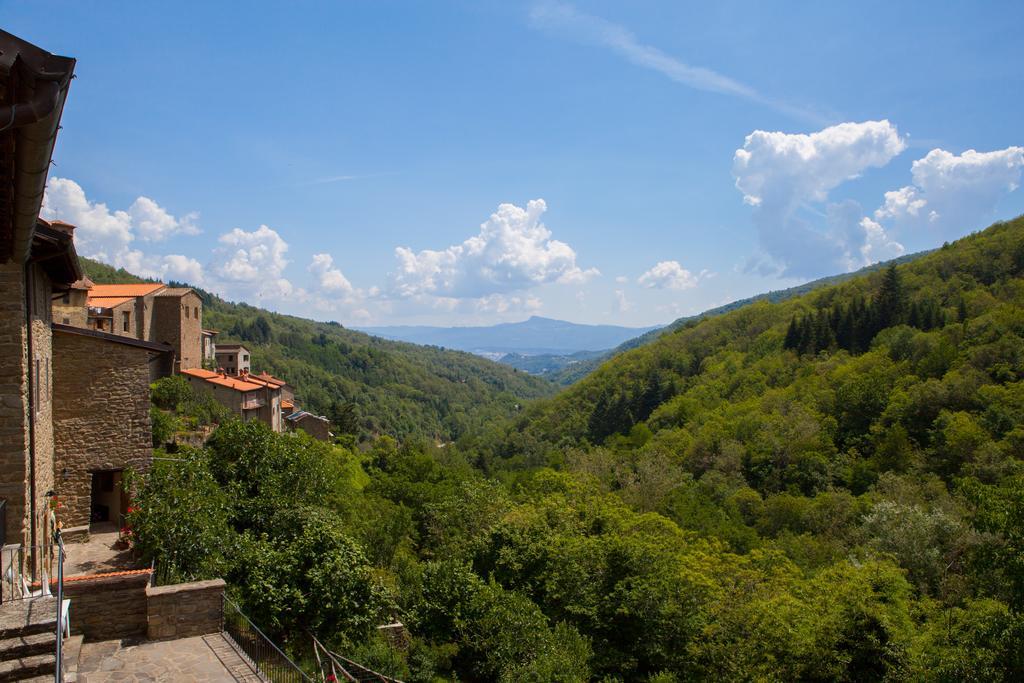 Il Borgo Dei Corsi - Charming Holiday Apartments Ortignano Raggiolo Zewnętrze zdjęcie