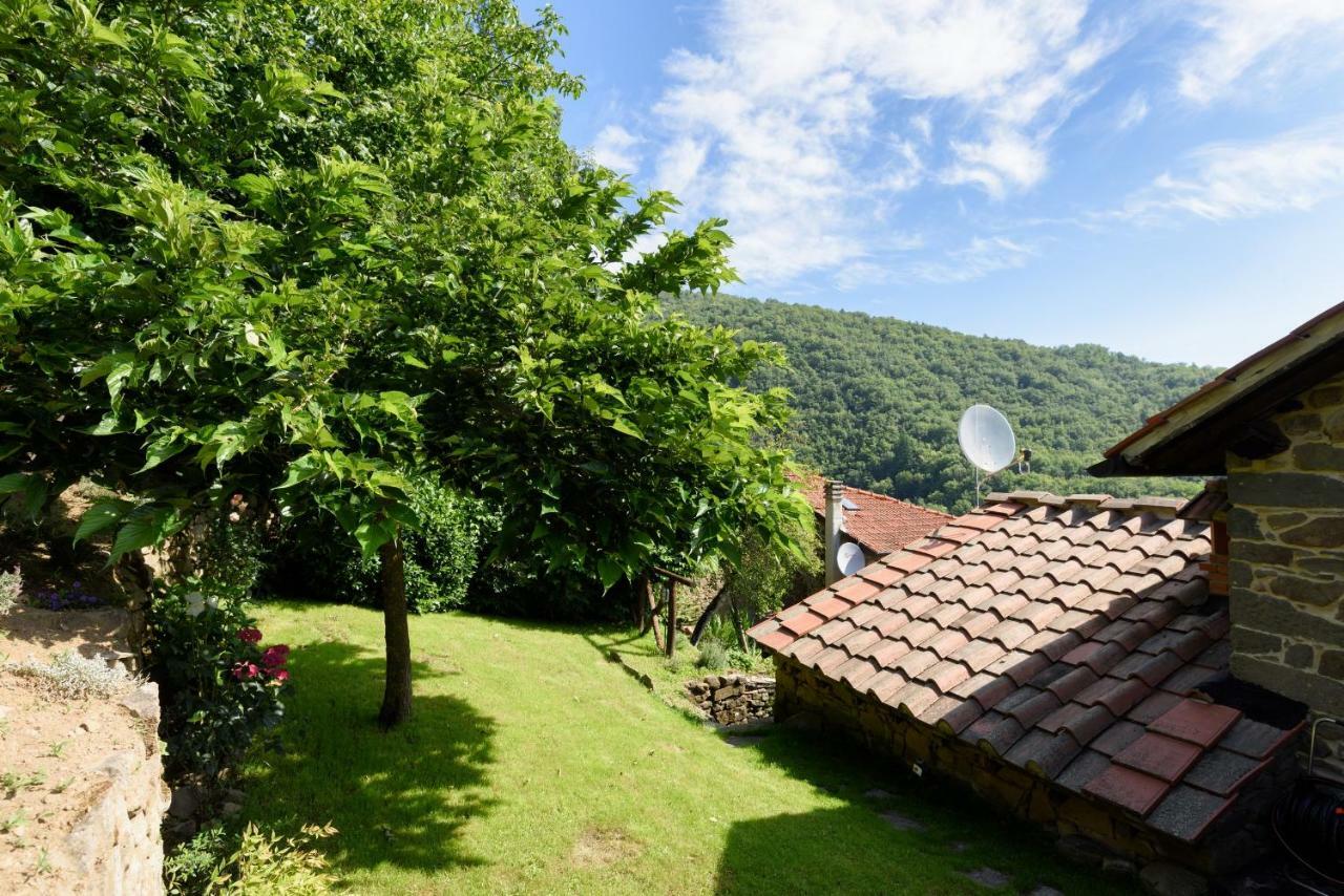 Il Borgo Dei Corsi - Charming Holiday Apartments Ortignano Raggiolo Zewnętrze zdjęcie